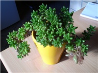5d602064-Picture 907.jpg